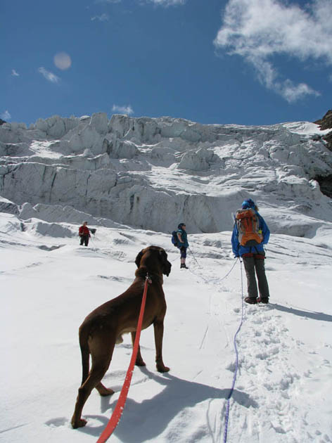 Auf dem Gepatschgletscher